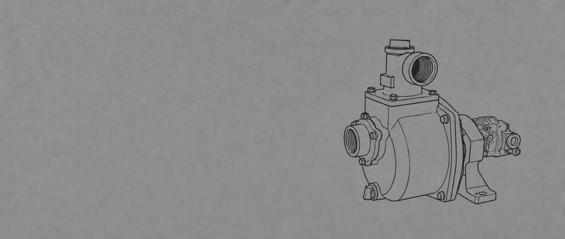 Gear pumps hydraulic driven