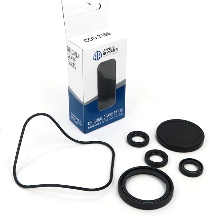 Annovi Reverberi AR2188 oil seal kit for RSV series pumps etc