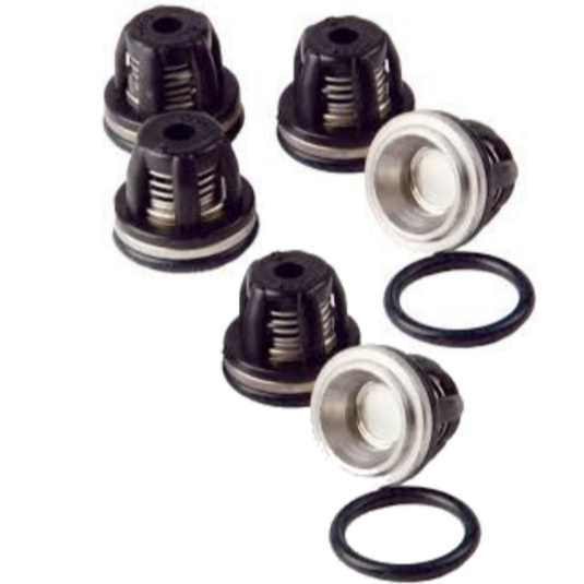 Annovi Reverberi AR1987 valve kit for AR503 pumps etc includes 6 x valves and 6 x orings
