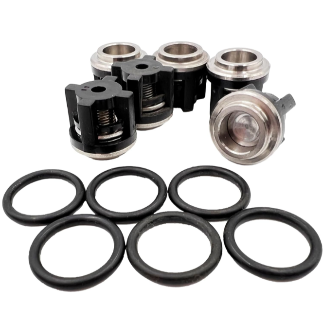 Valve Reverb Kit Annovi Reverberi AR42666 valve kit for RSV4G40 pumps etc includes: 6 x ...