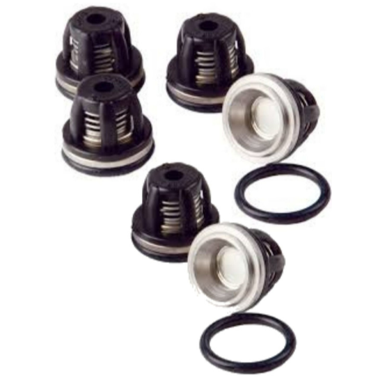 Annovi Reverberi AR2445 valve kit with 6 x valves and orings for AR145 ...